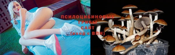 тгк Аркадак