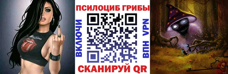 дарк нет Telegram  купить закладку  ссылка на мегу ТОР  Пыталово  Галлюциногенные грибы Cubensis 